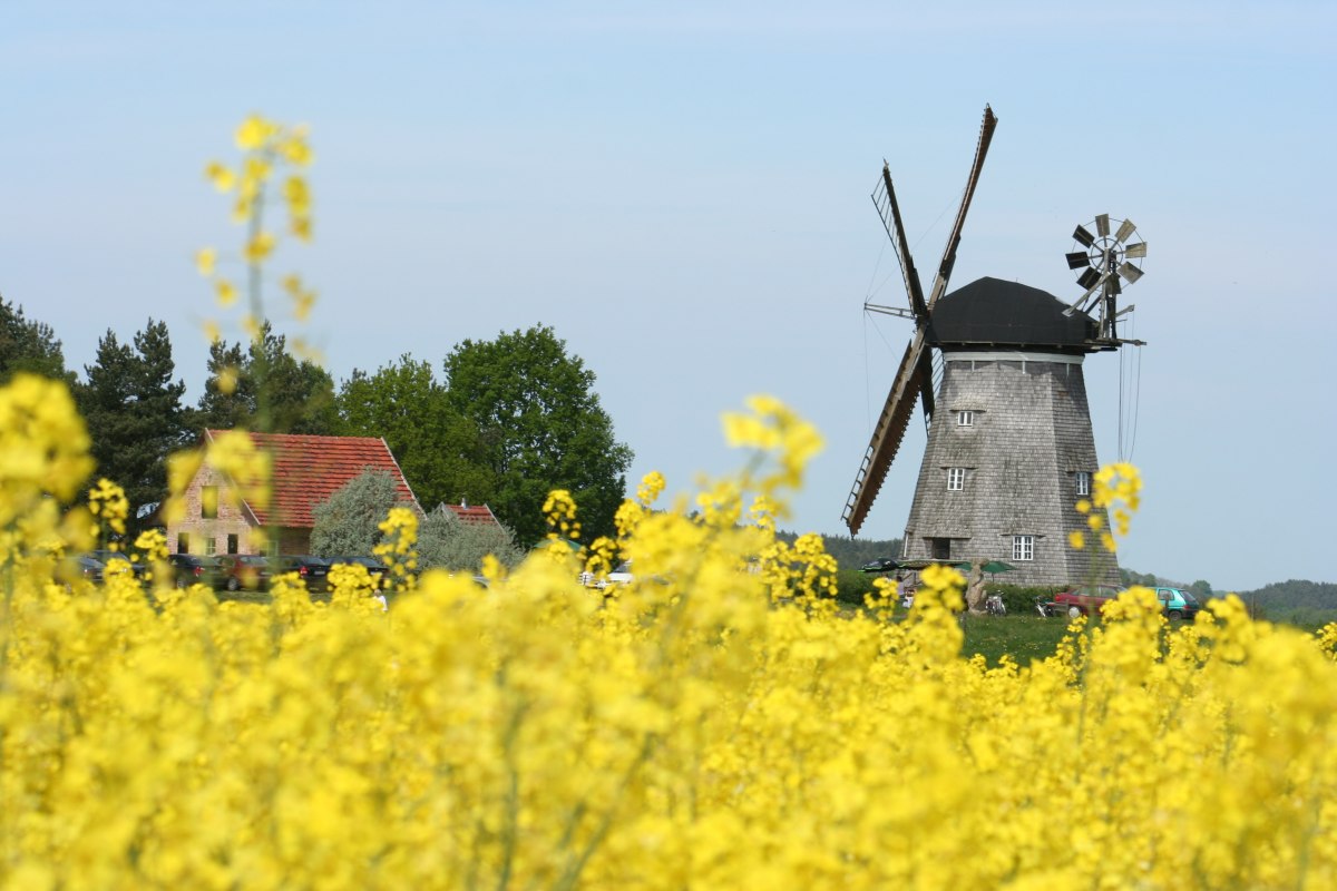 M&uuml;hle_Benz_Feld, &copy; Kulturm&uuml;hle Benz e.V.