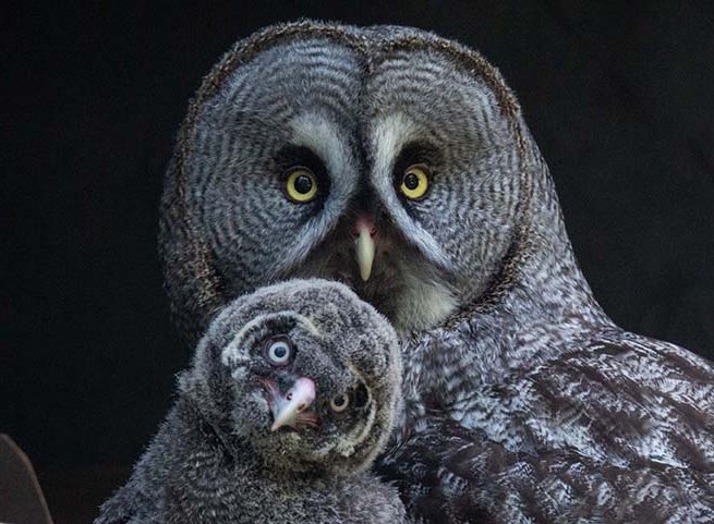 © Zoo Rostock/Kloock