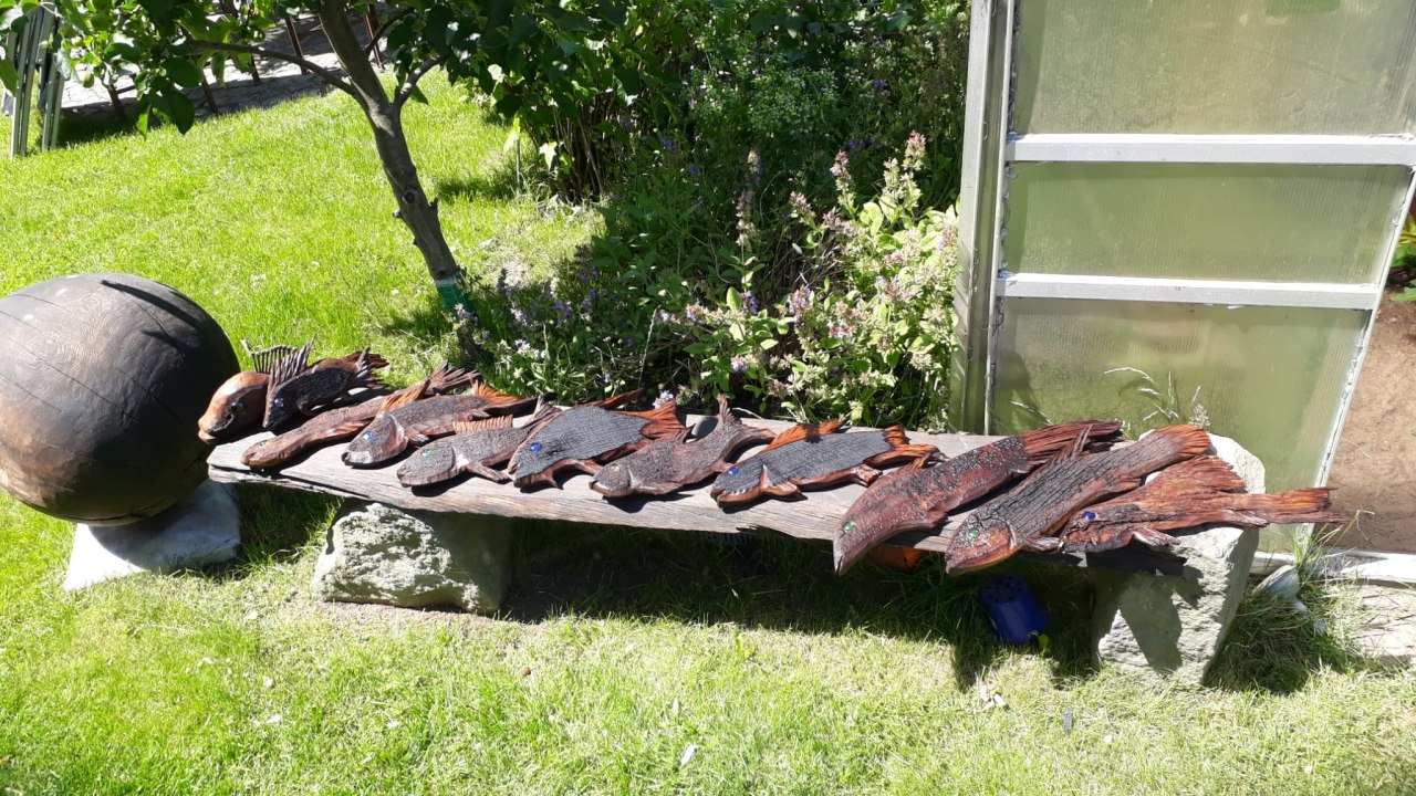 Ryby z 300-letniego sezonowanego dębu, &copy; Heiner Drews