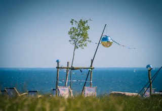 Mitten in der Natur, Mageritenwiese bei Muglitz auf R&uuml;gen // &copy; Stefan Pocha