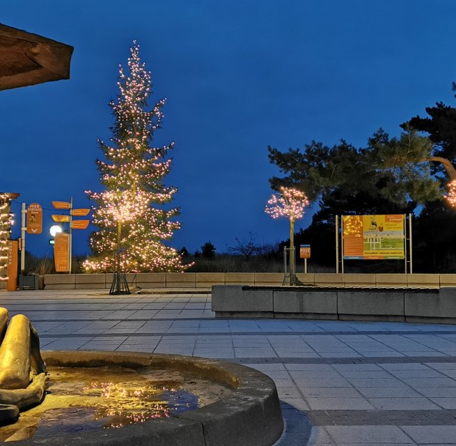 © IMG_20211126_163027.jpg © IMG_20211126_163027.jpg