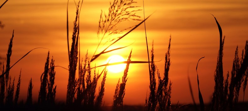 &copy; KV M&ouml;nchgut