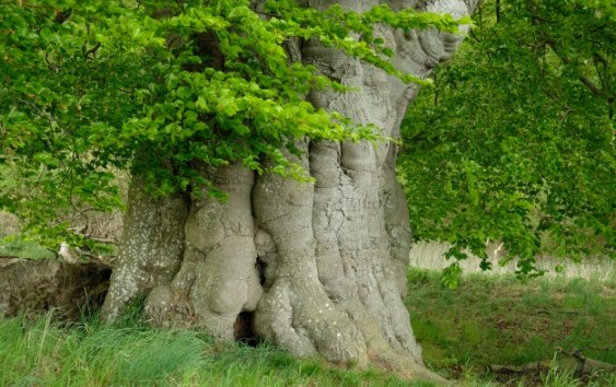 © Evelin Kartheuser © Evelin Kartheuser