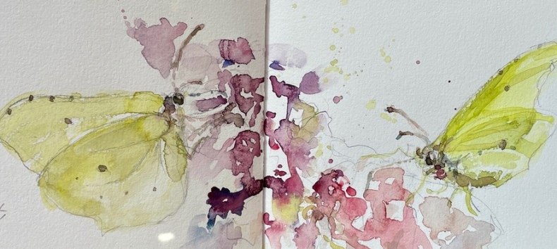 Blumen und Schmetterlinge // &copy; Daniela F. L&uuml;ers