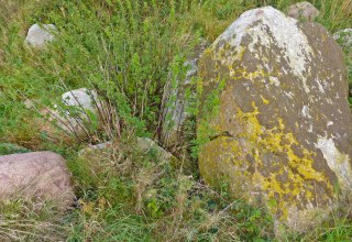 © Archäo Tour Rügen © Archäo Tour Rügen