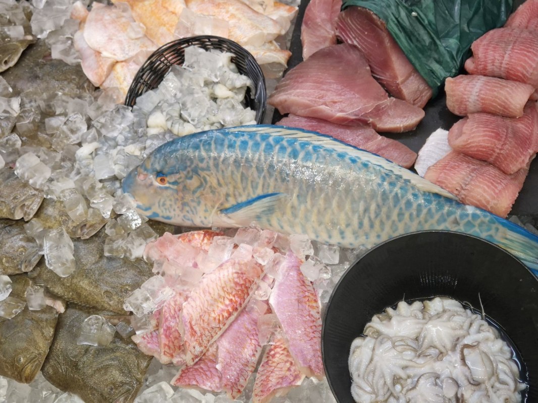 Verse vis bij Schönis Fischwaren & Seemannskost in Bergen op Rügen – ruime keuze aan visfilets, zeevruchten en andere visspecialiteiten. // © Schönis Fischwaren & Seemannskost Verse vis bij Schönis Fischwaren & Seemannskost in Bergen op Rügen – ruime keuze aan visfilets, zeevruchten en andere visspecialiteiten. // © Schönis Fischwaren & Seemannskost