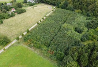 &copy; Landesforst MV