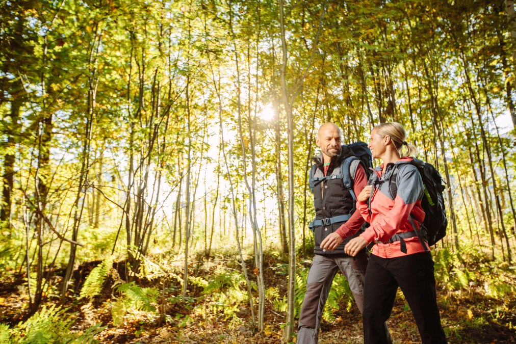 Hiking in the Rostock Heath, © TZRW_T.Roth