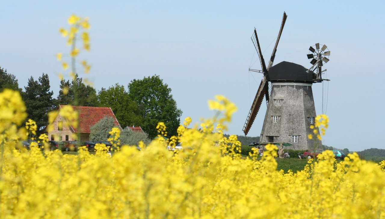 Mühle_Benz_Feld, © Kulturmühle Benz e.V.