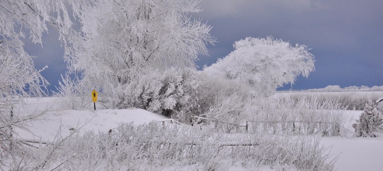 &copy; Nationalparkamt Vorpommern