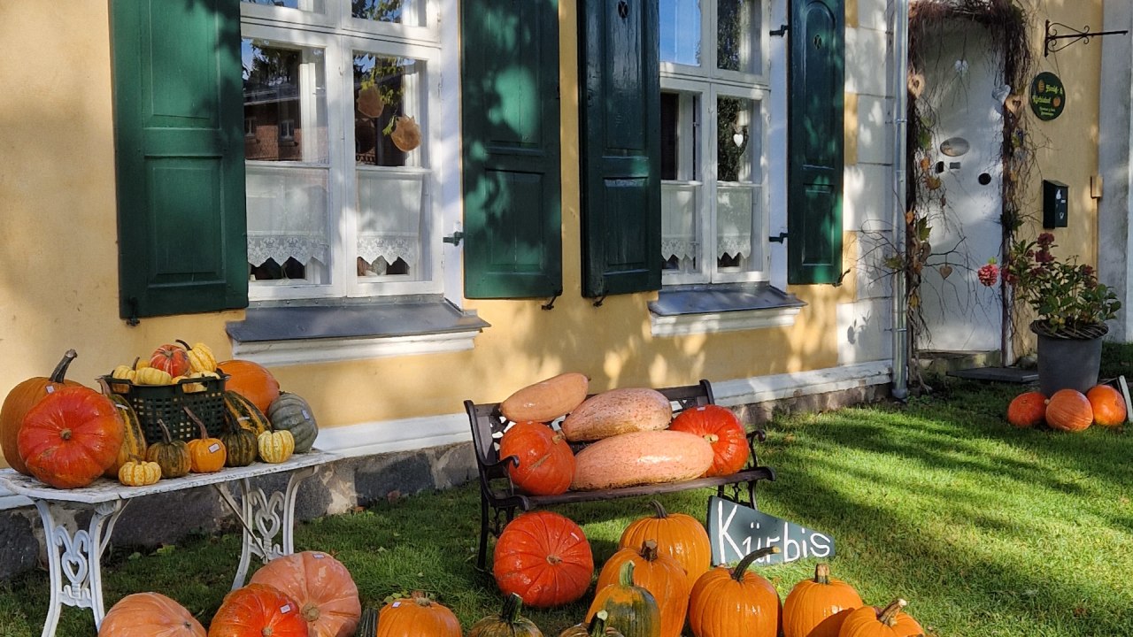 Farma miodu i dyni Gutshaus Behrenshagen, &copy; B. Siebenb&uuml;rgen