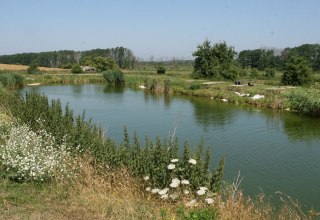 Uitzicht op de vijver, © Sabrina Wettkopf-Schade