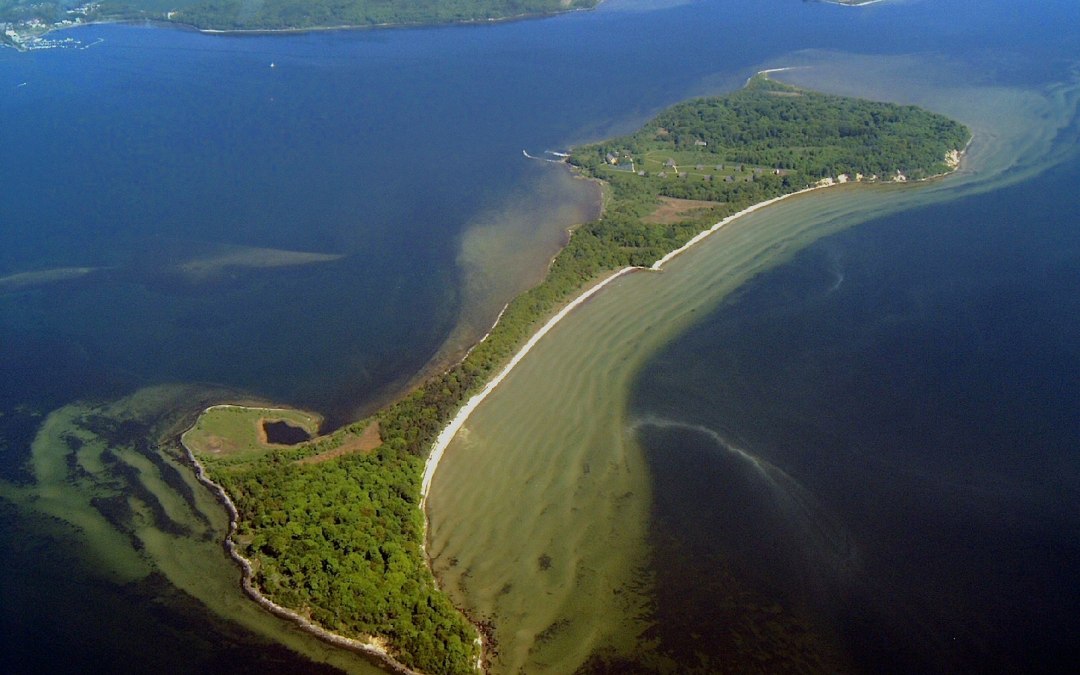Vilm Eiland, © Tourismuszentrale Rügen