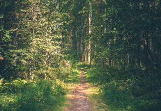 &copy; Kurverwaltung Ostseebad Baabe