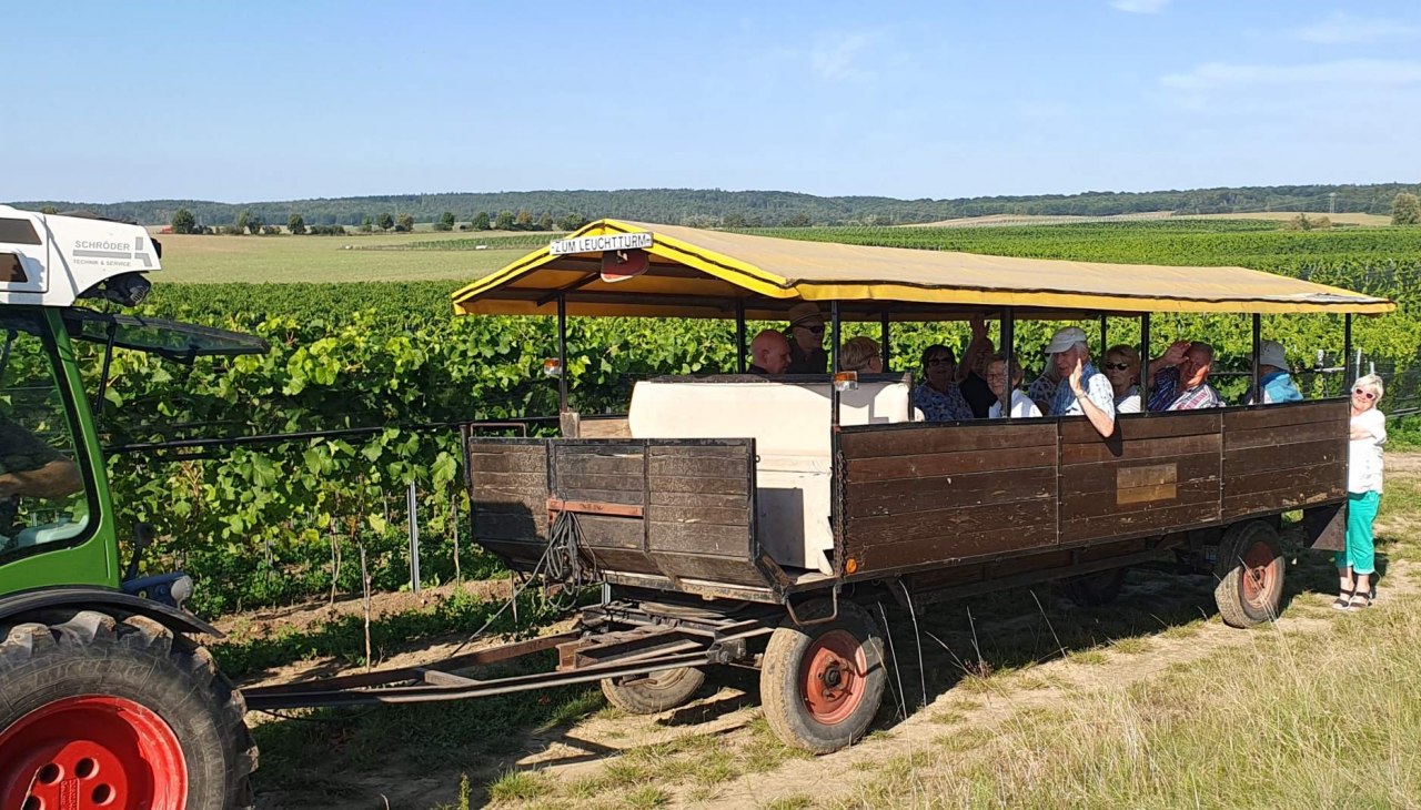 Kasteel Rattey Wijnmakerij, © Weingut Schloss Rattey | Inselmühle Usedom GmbH Kasteel Rattey Wijnmakerij, © Weingut Schloss Rattey | Inselmühle Usedom GmbH