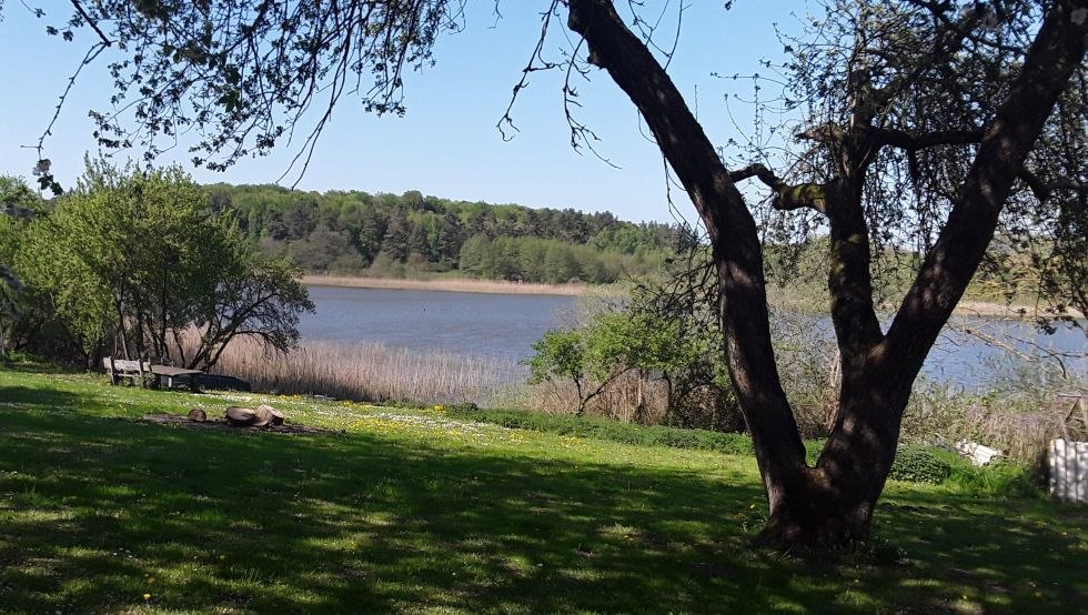 &copy; Frank Hildebrandt