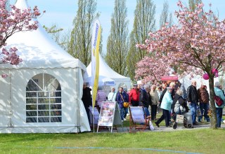 Hanseatic show Wismar // &copy; Das AgenturHaus GmbH