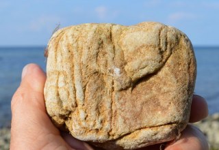 Versteinerte Wurmröhren - Skolithos-Sandstein Fossil eines der ältesten höheren Lebewesen // © GeoPark Nordisches Steinreich Versteinerte Wurmröhren - Skolithos-Sandstein Fossil eines der ältesten höheren Lebewesen // © GeoPark Nordisches Steinreich