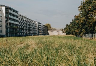 &copy; Binzer Bucht Tourismus