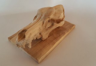 © Felix Anders © Felix Anders