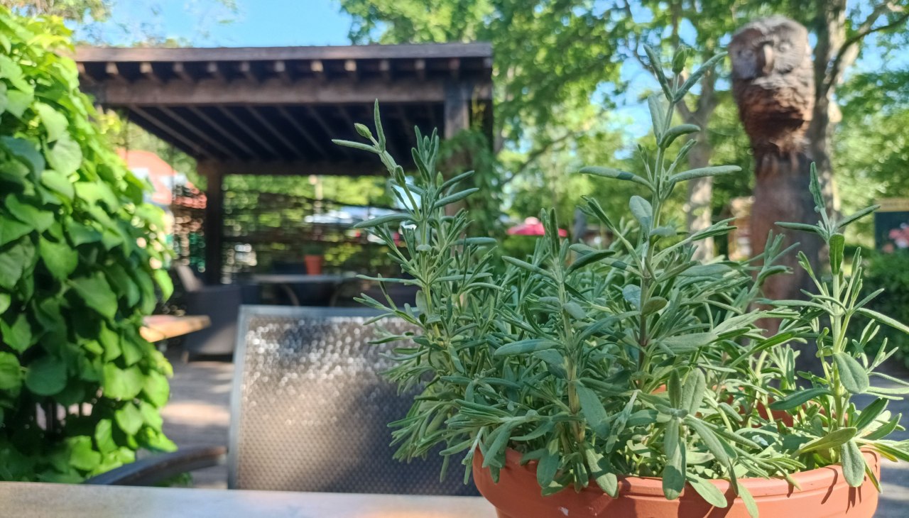 Terras, © Schlösschen Sundische Wiese Terras, © Schlösschen Sundische Wiese