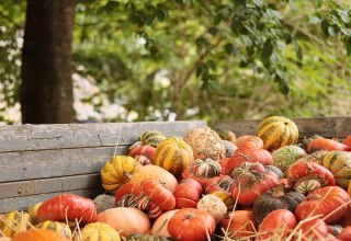 Herbstmarkt // © NoName_13 Herbstmarkt // © NoName_13