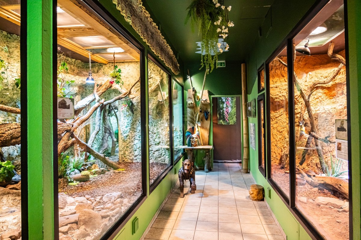 Tropikalne Zoo Bansin, &copy; Tropenzoo_Bansin_Marcel_Piper