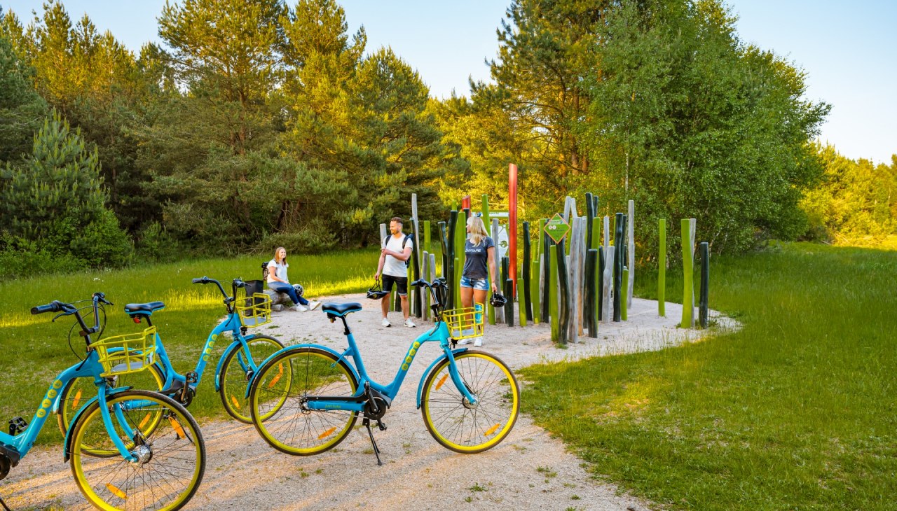 Olbrzymia łąka wzdłuż szlaku odkrywców we wrzosowisku Rostock, © TMV/Tiemann