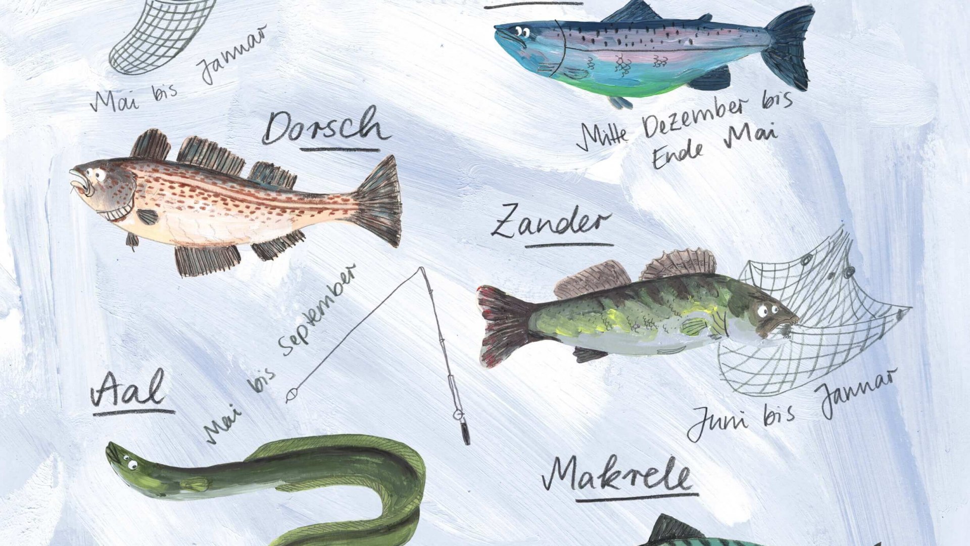 De seizoensviskalender met de vissen en de juiste tijden van het jaar - snoekbaars, kabeljauw, paling, makreel. // De seizoensgebonden viskalender met de vissen en de juiste tijden van het jaar. // © MV-T/Jana Kreisl De seizoensviskalender met de vissen en de juiste tijden van het jaar - snoekbaars, kabeljauw, paling, makreel.