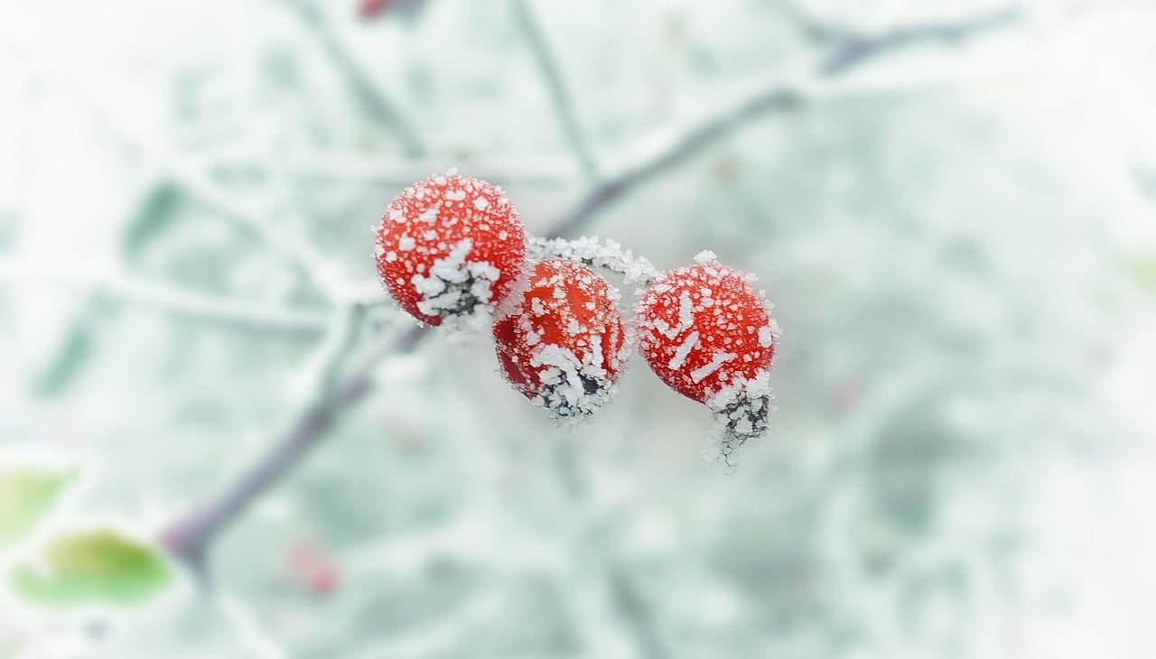 winter-654442_1280, &copy; Pixabay