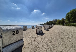 &copy; Gina Schulenberg