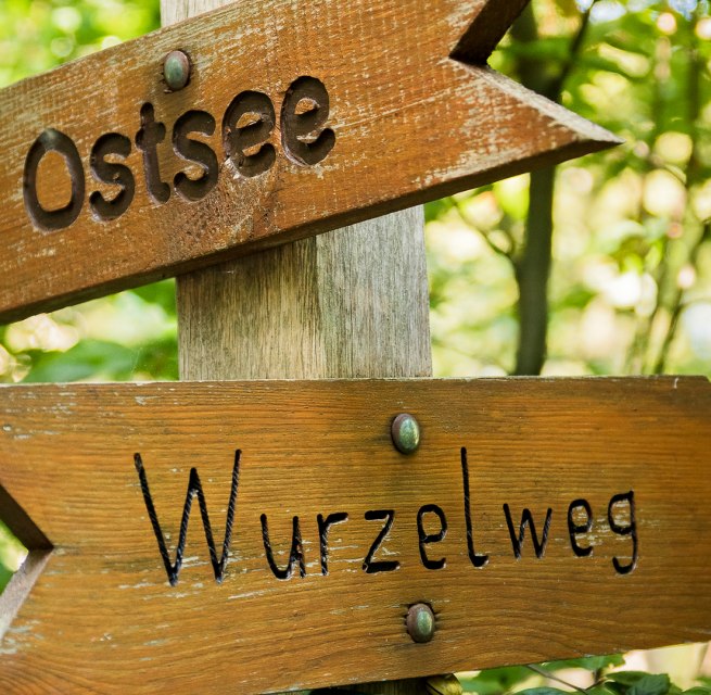 Pure nature // &copy; Andr&eacute; Pristaff / Tourismus- und Kur GmbH Graal-M&uuml;ritz