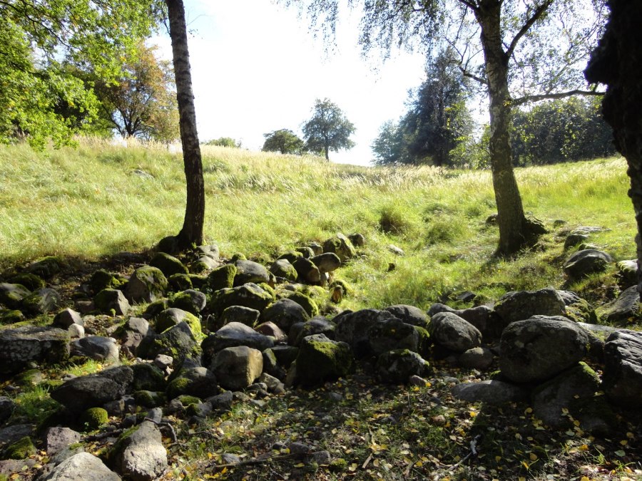 Ongerept landschap op de Hullerbusch, © Tina von der Schmidt