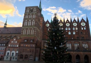 © Andrea Nachtwey © Andrea Nachtwey