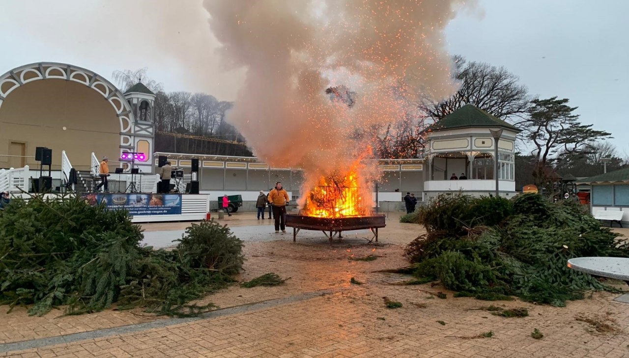 Jodła, © FVGV Göhren