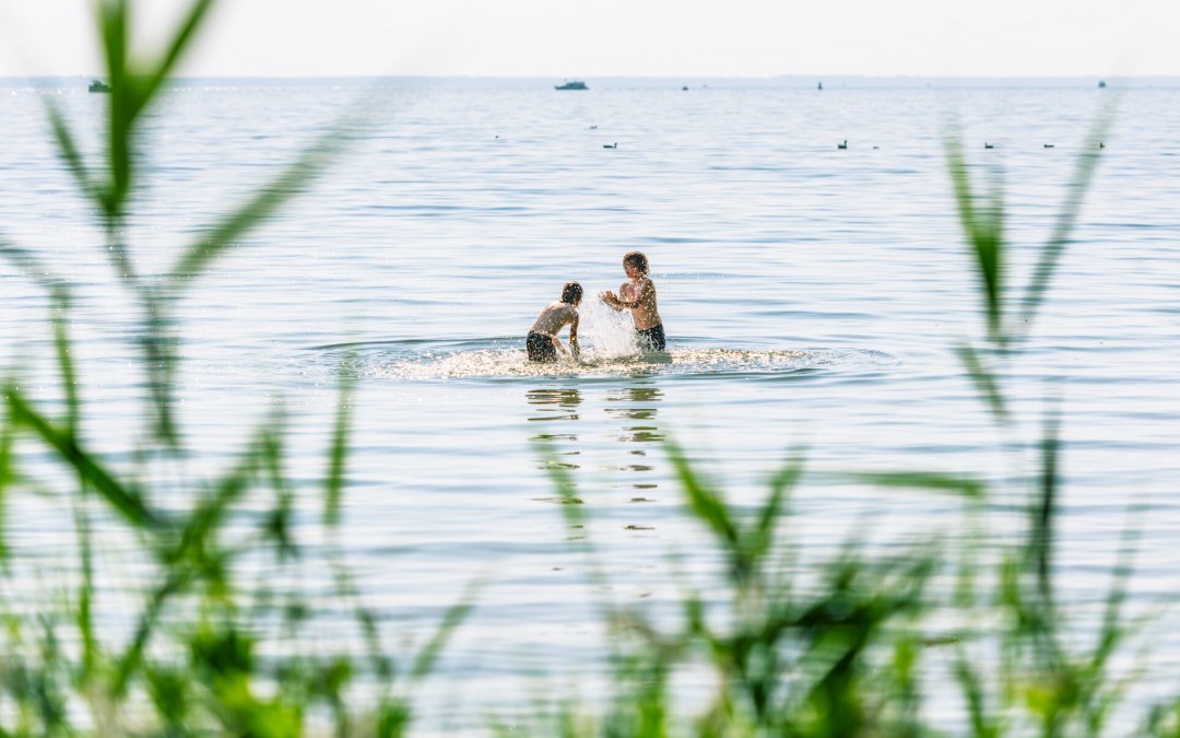 Zwemplezier aan de oevers van de Müritz in Klinker, © TMV/Tiemann