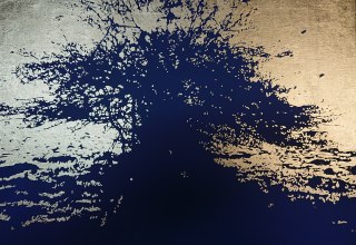 &copy; Randolph Wolf -