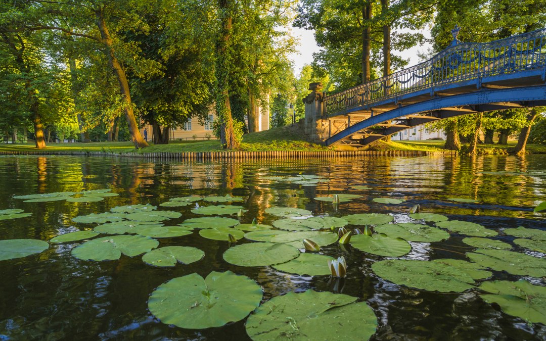 In Mirow kasteelpark, © SSGK M-V / Timm Allrich