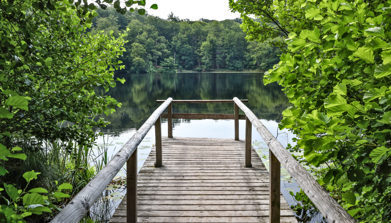 black-lake-in-the-granitz_1, © TMV/Gohlke