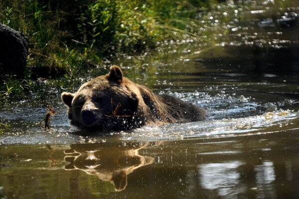 © Rundus Plauer See © Rundus Plauer See