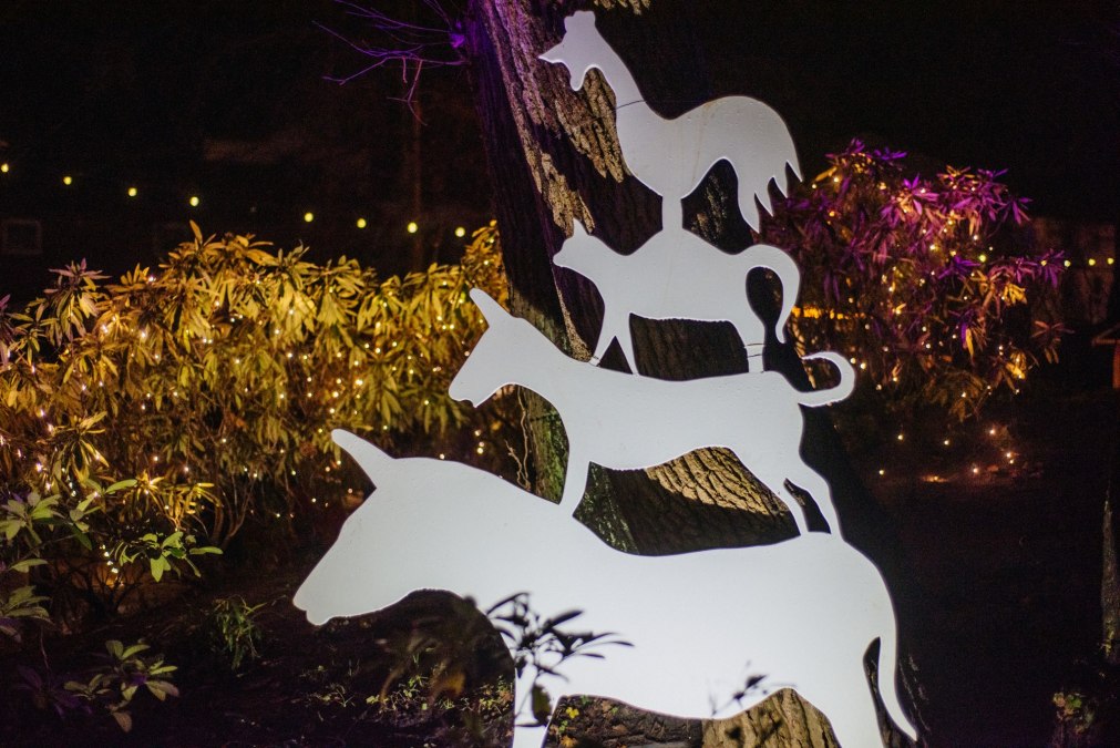 Binzer Weihnachtsmarkt »Engel, Licht & Meer«, © Binzer Bucht Tourismus