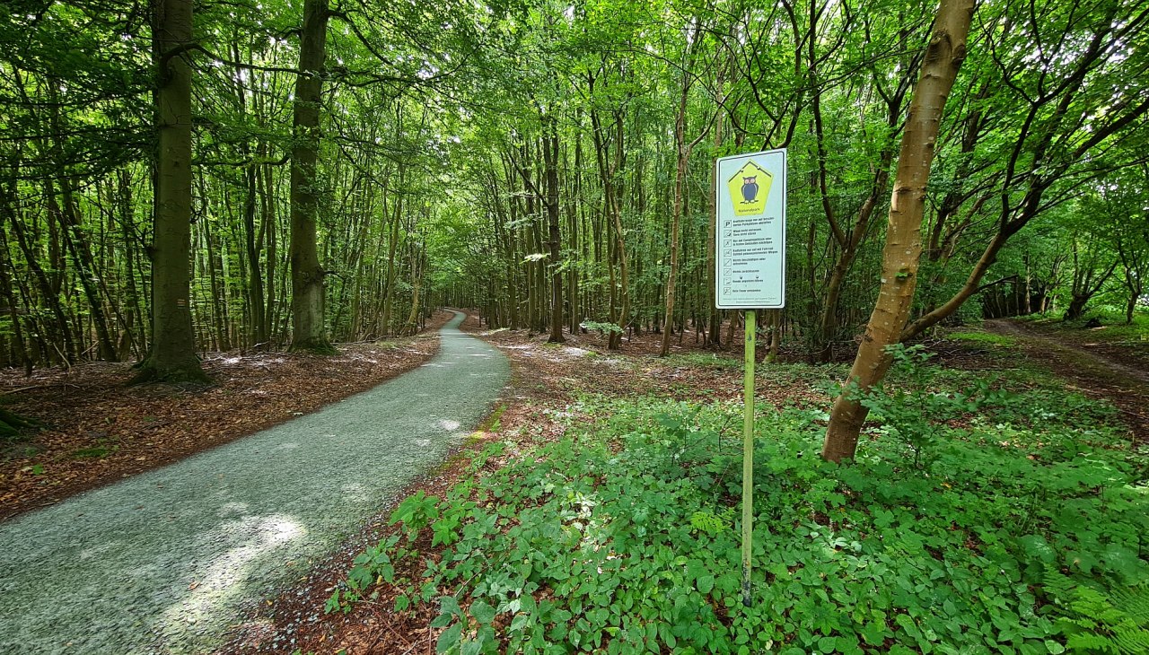 Stubnitz, © Landesforst MV