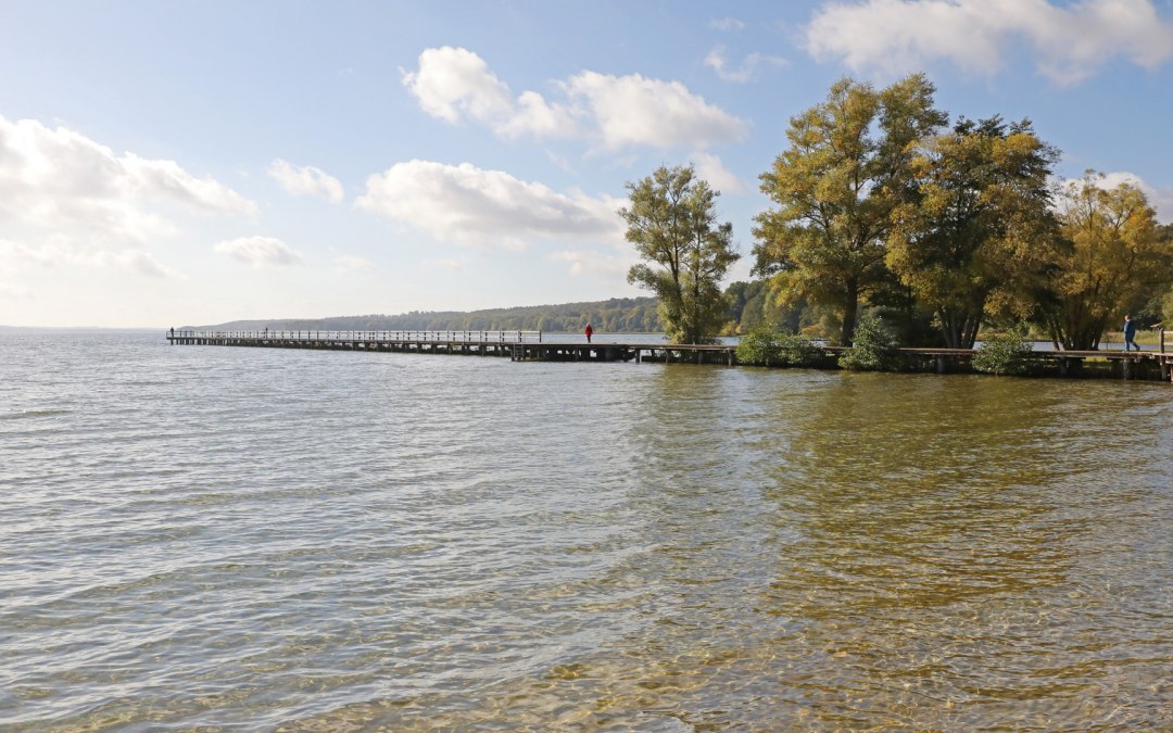 Broda_3 lido, © TMV/Gohlke