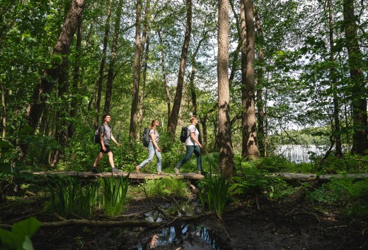 Er zijn veel manieren en paden om de natuur van het Sternberger Seenland te verkennen. Drie vrienden vertrekken te voet door de dichte bossen aan de oevers van het meer van Labenz., © TMV/Gross