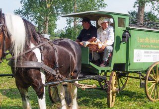 Ein historischer Bäckerwagen // © Freilichtmuseum Klockenhagen Ein historischer Bäckerwagen // © Freilichtmuseum Klockenhagen