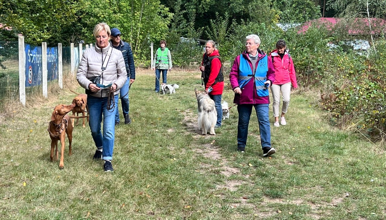 Kto jest najszybszym psem? Przygotowania na stacji "Wyścig" podczas ostatniego Festiwalu Czterech Łap, © Allgemeiner Hundeverein Kiebitzberg