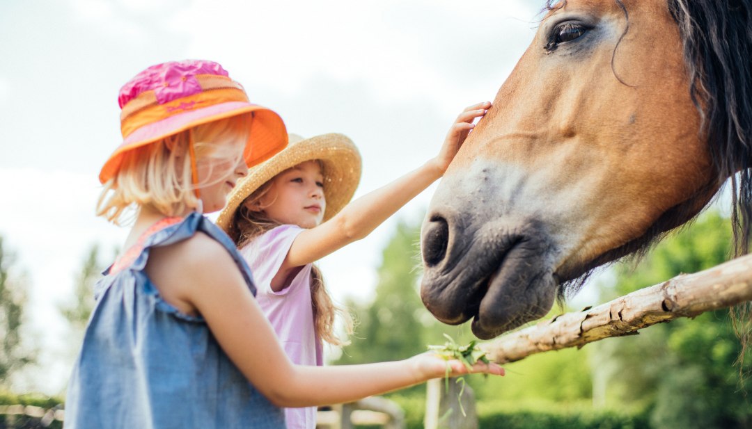 A girl strokes the nostrils of a horse. // &copy; MV-T/G&auml;nsicke