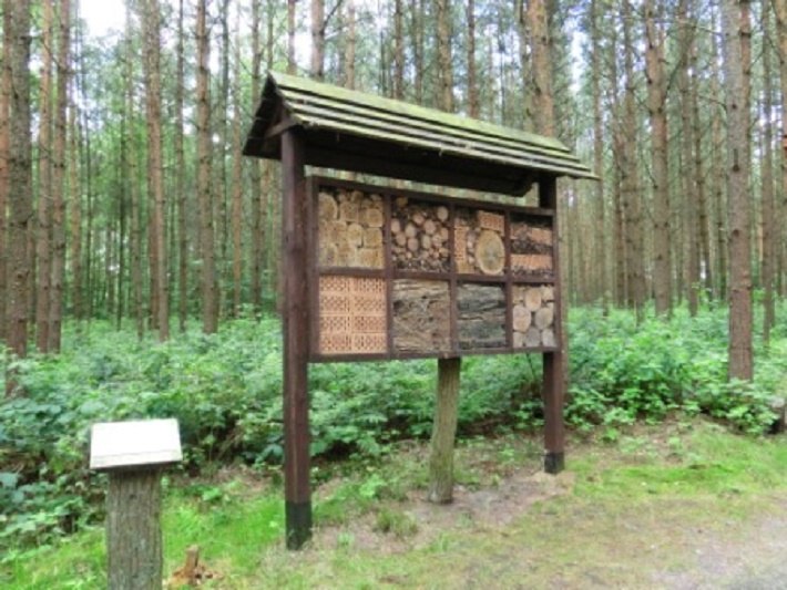 Insectenhotel in het woud der zinnen // © Baltzer Insectenhotel in het woud der zinnen // © Baltzer