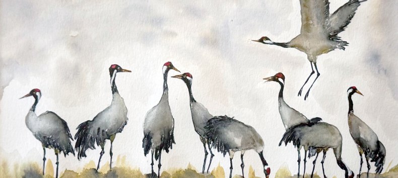 Dance of the cranes | Birgit Will, © Birgit Will