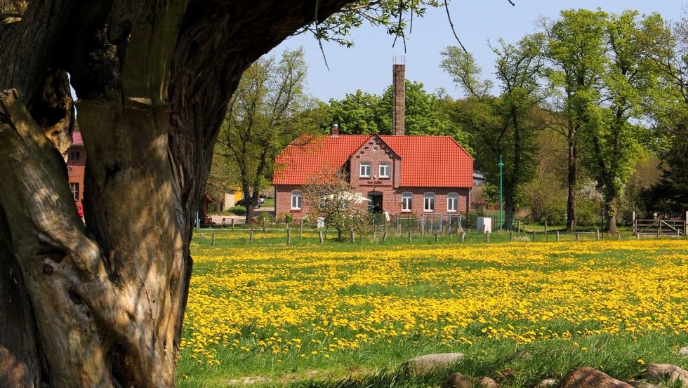 Het Gallin landgoed is een van de grootste biologische boerderijen in Duitsland // © Gut Gallin / Rasim Het Gallin landgoed is een van de grootste biologische boerderijen in Duitsland // © Gut Gallin / Rasim